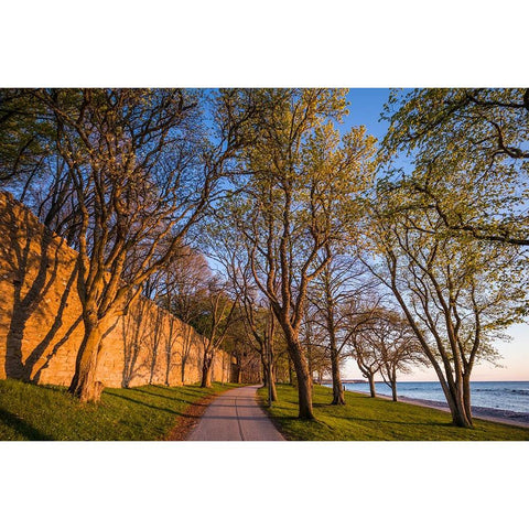 Sweden-Gotland Island-Visby-12th century city wall-most complete medieval city wall in Europe-sunse Black Modern Wood Framed Art Print by Bibikow, Walter