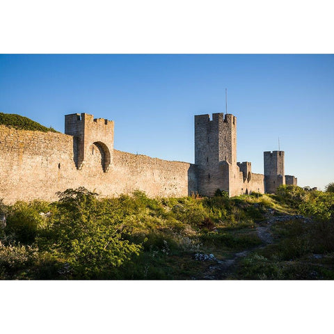 Sweden-Gotland Island-Visby-12th century city wall-most complete medieval city wall in Europe Gold Ornate Wood Framed Art Print with Double Matting by Bibikow, Walter