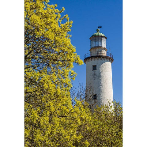 Sweden-Faro Island-Skogsbo-Skogsbo Lighthouse Black Modern Wood Framed Art Print by Bibikow, Walter