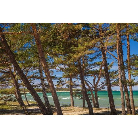Sweden-Faro Island-Fifang-view of Ajkesvik Bay Gold Ornate Wood Framed Art Print with Double Matting by Bibikow, Walter