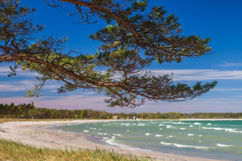 Sweden-Faro Island-Fifang-view of Ajkesvik Bay White Modern Wood Framed Art Print with Double Matting by Bibikow, Walter