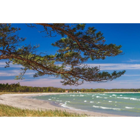 Sweden-Faro Island-Fifang-view of Ajkesvik Bay White Modern Wood Framed Art Print by Bibikow, Walter