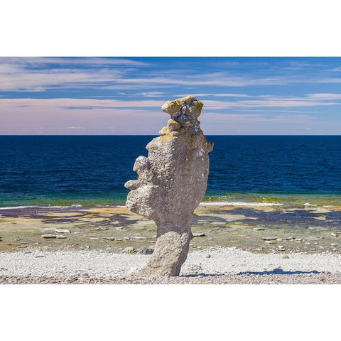 Sweden-Faro Island-Langhammars Area-Langhammar coastal limestone rauk rock Black Modern Wood Framed Art Print with Double Matting by Bibikow, Walter