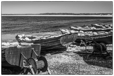 Sweden-Faro Island-Kursviken-coastal farmers fishing boats Black Ornate Wood Framed Art Print with Double Matting by Bibikow, Walter