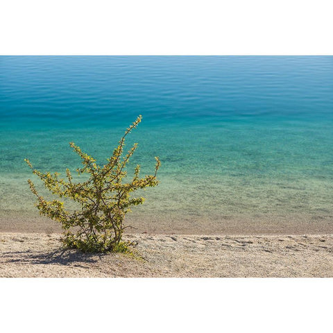 Sweden-Gotland Island-Labro-Bla Lagunen-Blue Lagoon-natural swimming area in former chalk quarry wi Black Modern Wood Framed Art Print by Bibikow, Walter