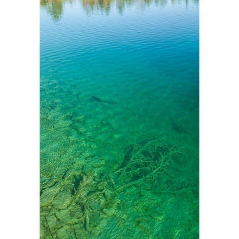 Sweden-Gotland Island-Labro-Bla Lagunen-Blue Lagoon-natural swimming area in former chalk quarry wi Black Modern Wood Framed Art Print by Bibikow, Walter