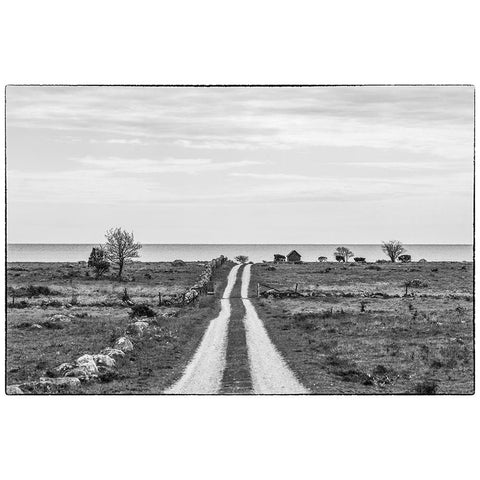Sweden-Gotland Island-Sundre-country road-southern Gotland Black Modern Wood Framed Art Print by Bibikow, Walter