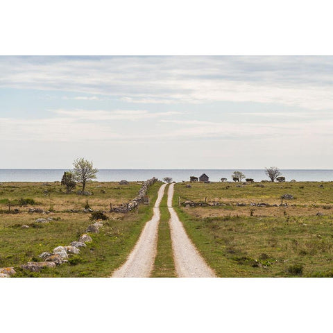 Sweden-Gotland Island-Sundre-country road-southern Gotland Black Modern Wood Framed Art Print by Bibikow, Walter