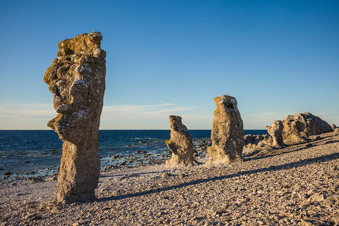 Sweden-Faro Island-Langhammars Area-Langhammar coastal limestone rauk rock-sunset White Modern Wood Framed Art Print with Double Matting by Bibikow, Walter
