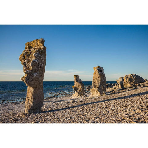 Sweden-Faro Island-Langhammars Area-Langhammar coastal limestone rauk rock-sunset Black Modern Wood Framed Art Print by Bibikow, Walter
