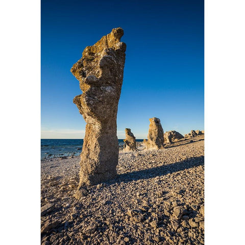 Sweden-Faro Island-Langhammars Area-Langhammar coastal limestone rauk rock-sunset Gold Ornate Wood Framed Art Print with Double Matting by Bibikow, Walter