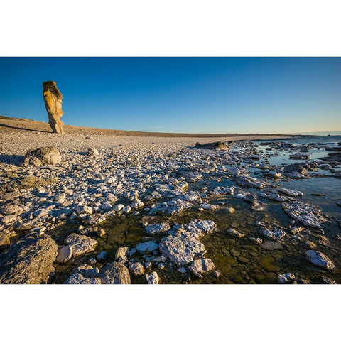 Sweden-Faro Island-Langhammars Area-Langhammar coastal limestone rauk rock-sunset Black Modern Wood Framed Art Print by Bibikow, Walter