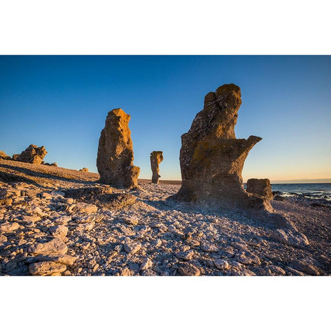 Sweden-Faro Island-Langhammars Area-Langhammar coastal limestone rauk rock-sunset Black Modern Wood Framed Art Print by Bibikow, Walter