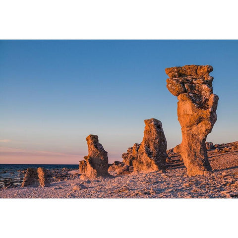 Sweden-Faro Island-Langhammars Area-Langhammar coastal limestone rauk rock-sunset White Modern Wood Framed Art Print by Bibikow, Walter