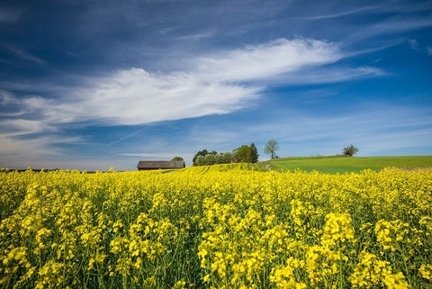 Sweden-Bergs Slussar-springtime landscape White Modern Wood Framed Art Print with Double Matting by Bibikow, Walter