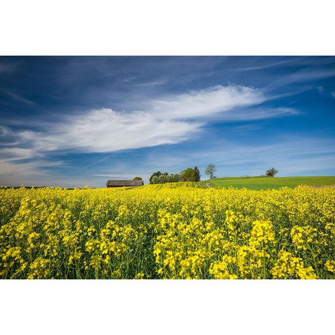 Sweden-Bergs Slussar-springtime landscape Black Modern Wood Framed Art Print by Bibikow, Walter