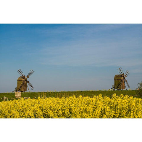Sweden-Oland Island-Lerkaka-antique wooden windmills Black Modern Wood Framed Art Print by Bibikow, Walter