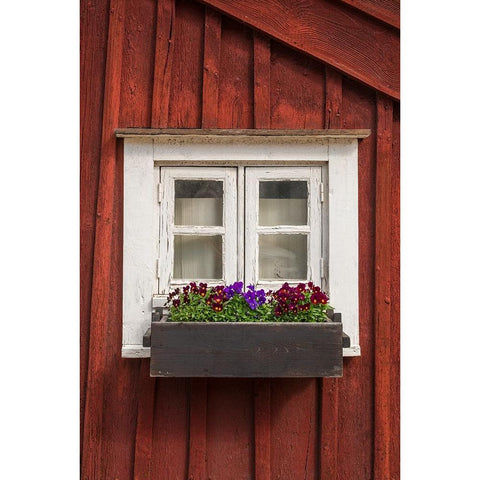 Sweden-Kalmar-town building detail White Modern Wood Framed Art Print by Bibikow, Walter