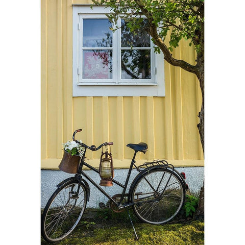 Southern Sweden-Karlskrona-Bjorkholmen area-the neighborhood of naval craftsmen-bicycle Black Modern Wood Framed Art Print with Double Matting by Bibikow, Walter
