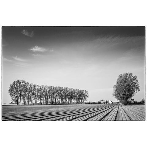 Southern Sweden-Kaseberga-plowed field-springtime White Modern Wood Framed Art Print by Bibikow, Walter