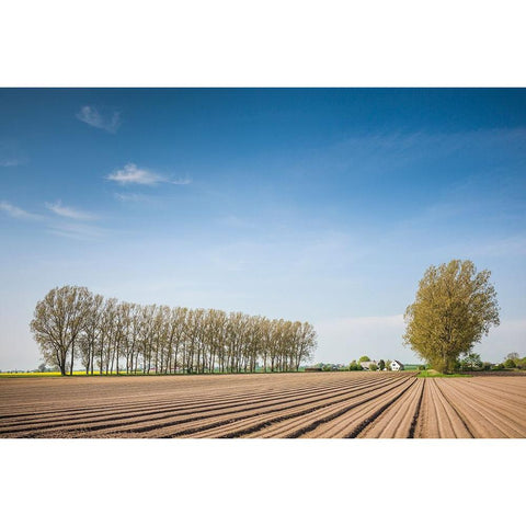 Southern Sweden-Kaseberga-plowed field-springtime Black Modern Wood Framed Art Print by Bibikow, Walter