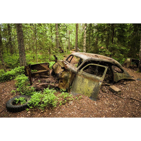 Sweden-Smaland-Ryd-Kyrko Mosse Car Cemetery-former junkyard now pubic park-junked cars White Modern Wood Framed Art Print by Bibikow, Walter