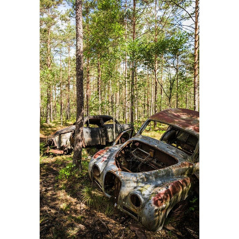 Sweden-Smaland-Ryd-Kyrko Mosse Car Cemetery-former junkyard now pubic park-junked cars Black Modern Wood Framed Art Print with Double Matting by Bibikow, Walter