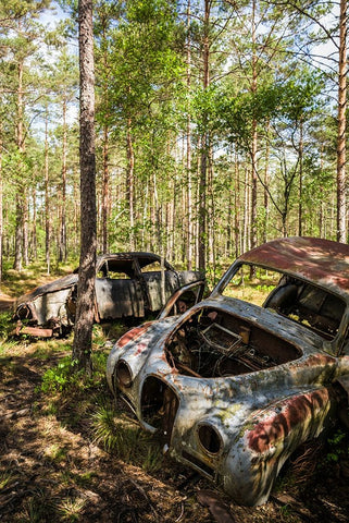 Sweden-Smaland-Ryd-Kyrko Mosse Car Cemetery-former junkyard now pubic park-junked cars White Modern Wood Framed Art Print with Double Matting by Bibikow, Walter