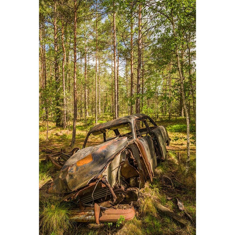 Sweden-Smaland-Ryd-Kyrko Mosse Car Cemetery-former junkyard now pubic park-junked cars Black Modern Wood Framed Art Print with Double Matting by Bibikow, Walter