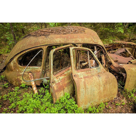 Sweden-Smaland-Ryd-Kyrko Mosse Car Cemetery-former junkyard now pubic park-junked cars Black Modern Wood Framed Art Print by Bibikow, Walter