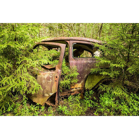 Sweden-Smaland-Ryd-Kyrko Mosse Car Cemetery-former junkyard now pubic park-junked cars Black Modern Wood Framed Art Print by Bibikow, Walter