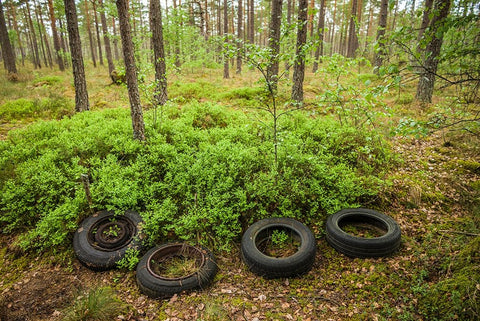 Sweden-Smaland-Ryd-Kyrko Mosse Car Cemetery-former junkyard now pubic park-old tires White Modern Wood Framed Art Print with Double Matting by Bibikow, Walter