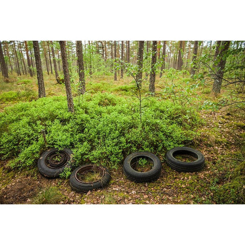 Sweden-Smaland-Ryd-Kyrko Mosse Car Cemetery-former junkyard now pubic park-old tires Black Modern Wood Framed Art Print by Bibikow, Walter