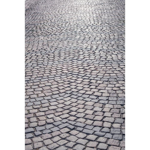 Sweden-Scania-Malmo-Lilla Torg square area-pavement stones Black Modern Wood Framed Art Print by Bibikow, Walter