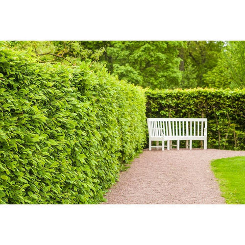 Sweden-Scania-Molle-Krapperups Slott castle-ancient home of the Gyllenstierna family-public garden  Black Modern Wood Framed Art Print by Bibikow, Walter