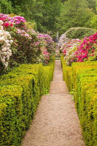 Sweden-Scania-Molle-Krapperups Slott castle-ancient home of the Gyllenstierna family-public garden- White Modern Wood Framed Art Print with Double Matting by Bibikow, Walter