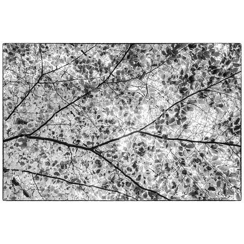 Sweden-Scania-Molle-Krapperups Slott castle-ancient home of the Gyllenstierna family-public garden- Black Modern Wood Framed Art Print by Bibikow, Walter