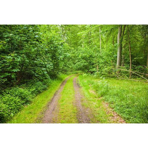 Sweden-Scania-Molle-Krapperups Slott castle-ancient home of the Gyllenstierna family-public garden- White Modern Wood Framed Art Print by Bibikow, Walter