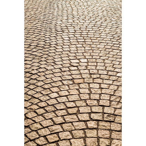 Sweden-Vastragotland and Bohuslan-Gothenburg-Haga neighborhood-paving stones Black Modern Wood Framed Art Print by Bibikow, Walter