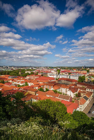 Sweden-Vastragotland and Bohuslan-Gothenburg-high angle city view from the Skansparken-late afterno Black Ornate Wood Framed Art Print with Double Matting by Bibikow, Walter