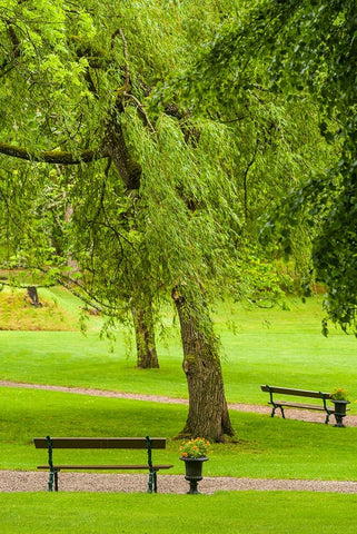 Sweden-Bohuslan-Gustavsberg-Swedens Oldest Resort-village park Black Ornate Wood Framed Art Print with Double Matting by Bibikow, Walter