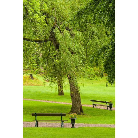Sweden-Bohuslan-Gustavsberg-Swedens Oldest Resort-village park Black Modern Wood Framed Art Print by Bibikow, Walter