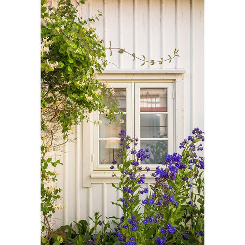 Sweden-Bohuslan-Smogen-house detail Black Modern Wood Framed Art Print with Double Matting by Bibikow, Walter