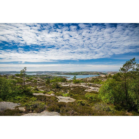 Sweden-Bohuslan-Fjallbacka-the Vetteberget cliff Gold Ornate Wood Framed Art Print with Double Matting by Bibikow, Walter