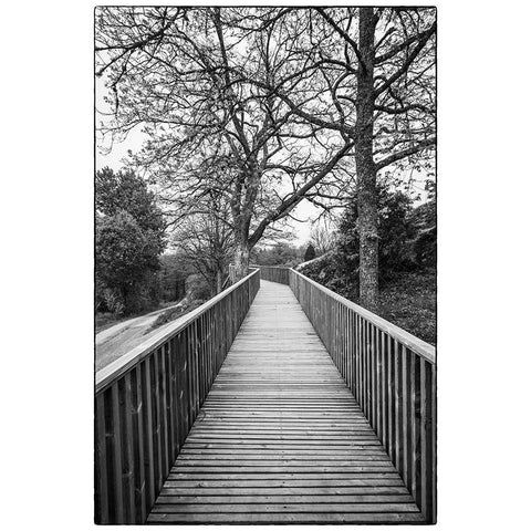 Sweden-Bohuslan-Tanumshede-Tanum Area-walkway to Bronze Age carvings Black Modern Wood Framed Art Print by Bibikow, Walter