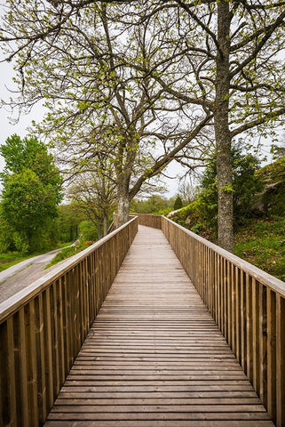 Sweden-Bohuslan-Tanumshede-Tanum Area-walkway to Bronze Age carvings Black Ornate Wood Framed Art Print with Double Matting by Bibikow, Walter