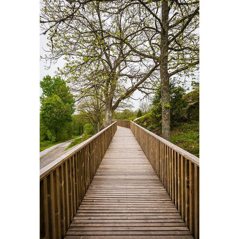 Sweden-Bohuslan-Tanumshede-Tanum Area-walkway to Bronze Age carvings Black Modern Wood Framed Art Print by Bibikow, Walter