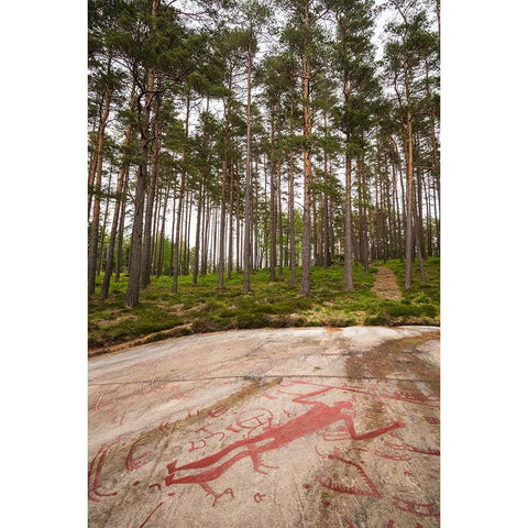 Sweden-Bohuslan-Tanumshede-Bronze Age carving detail of the Tanum area showing man with big sexual  Gold Ornate Wood Framed Art Print with Double Matting by Bibikow, Walter