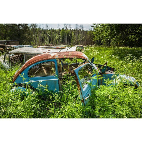 Sweden-Varmland-Bastnas-Bastnas Car Cemetery public park-antique car junkyard White Modern Wood Framed Art Print by Bibikow, Walter