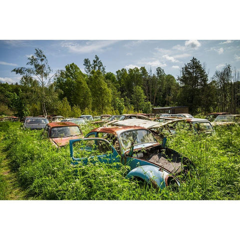 Sweden-Varmland-Bastnas-Bastnas Car Cemetery public park-antique car junkyard Black Modern Wood Framed Art Print by Bibikow, Walter